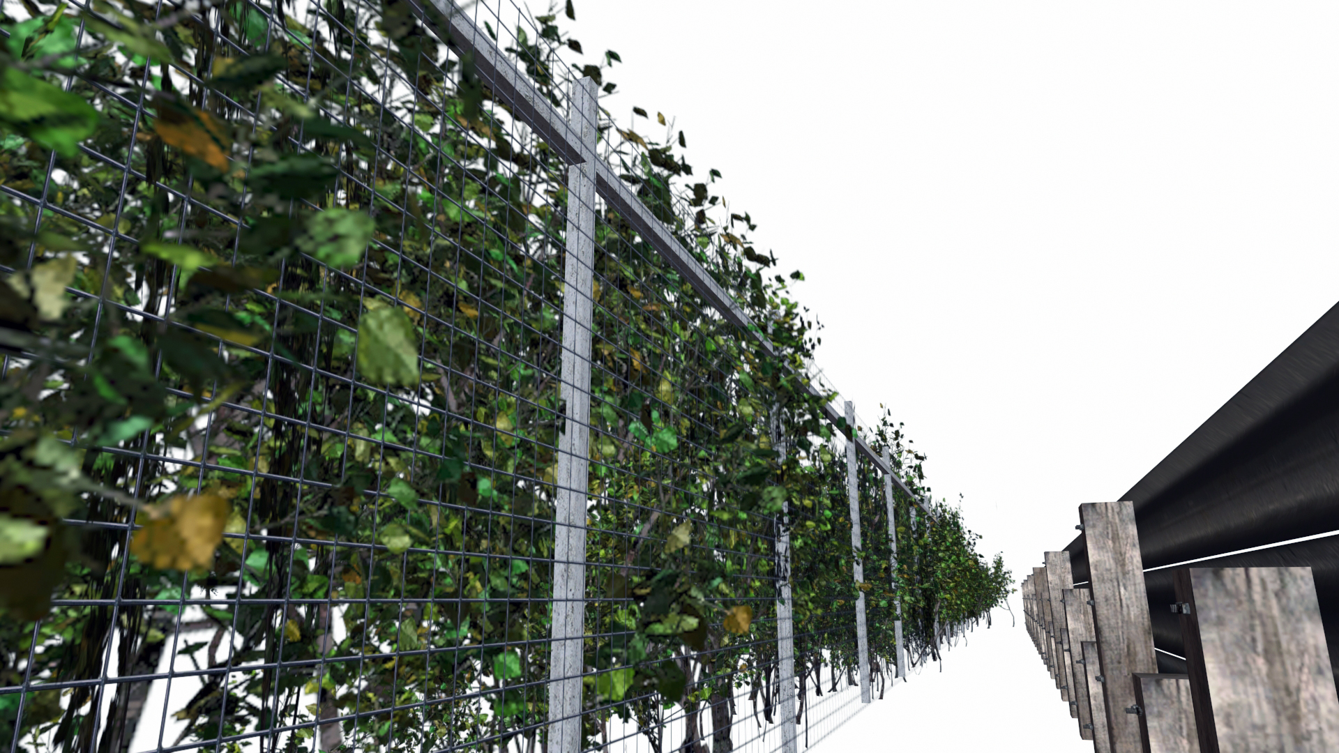 fence1.jpg