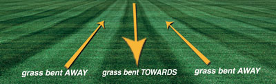 LawnStripe_2.jpg