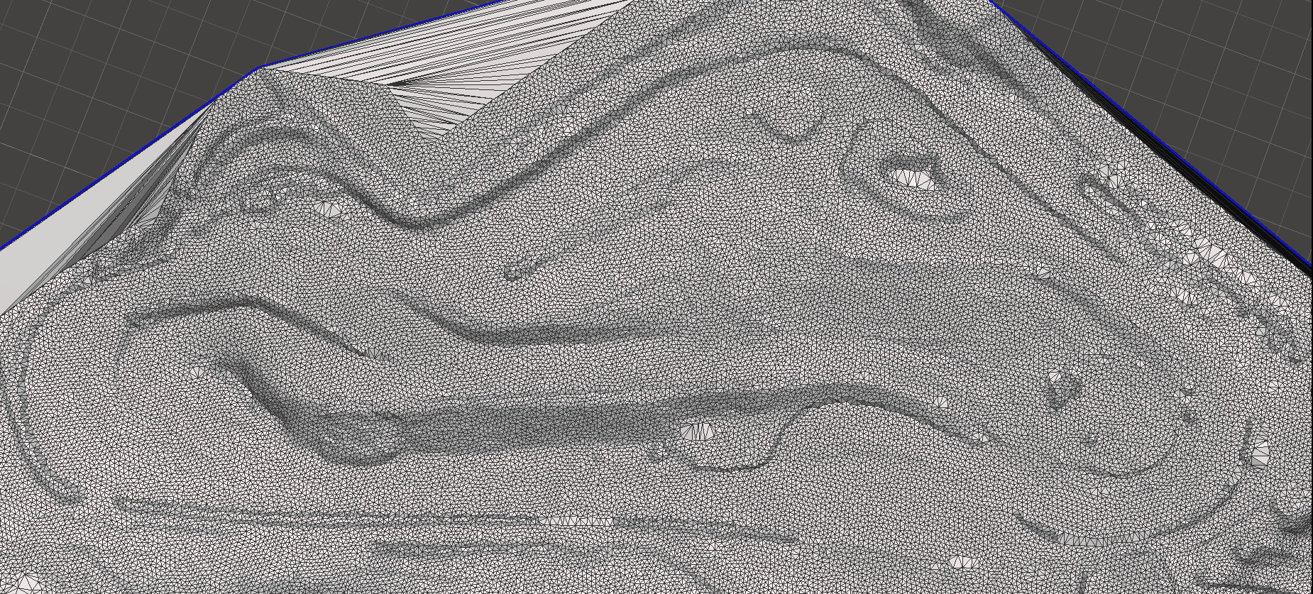 Nisseringen mesh wireframe from cloud reduced density.jpg
