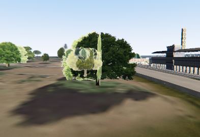 RTB Trees.JPG