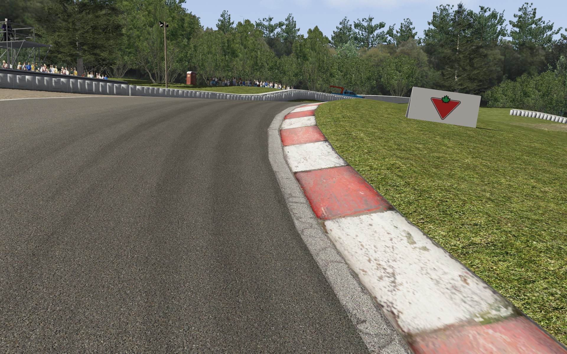Screenshot_bmw_z4_gt3_nagp_mosport_8-2-117-19-32-13.jpg