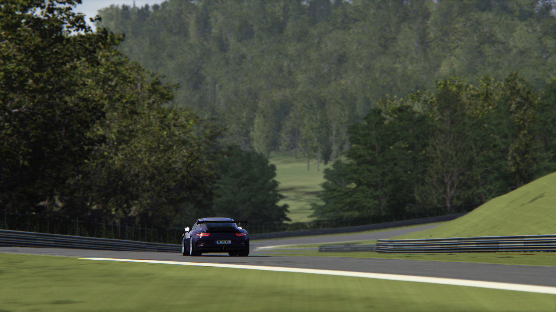 Screenshot_ks_porsche_911_gt3_rs_lime_rock_2-3-119-17-24-28.jpg