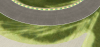 jacarepagua3.png