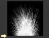 alpha channel fix.png