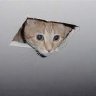 TrippleBeem